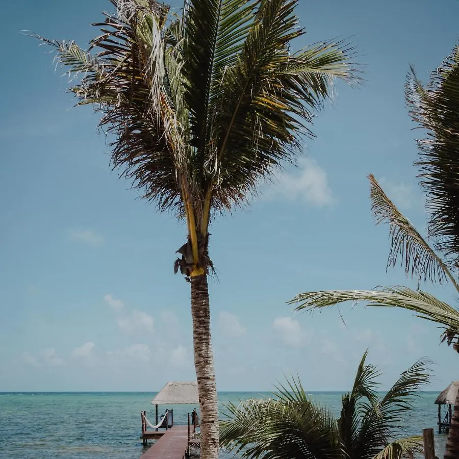Cielo Maya Beach Tulum Hotel