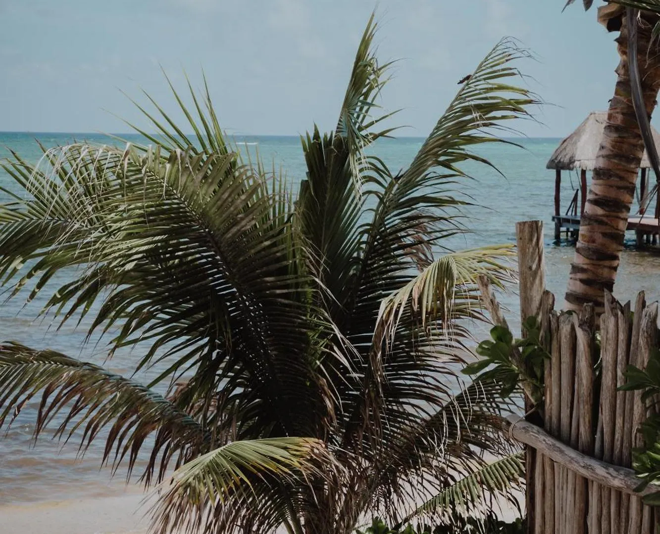 Cielo Maya Beach Tulum Hotel