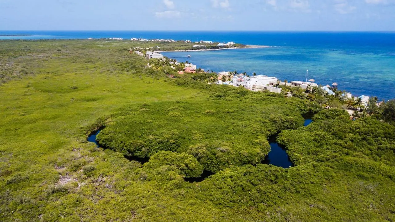 מלון Cielo Maya Beach טולום